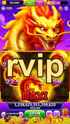 rvip Masuk